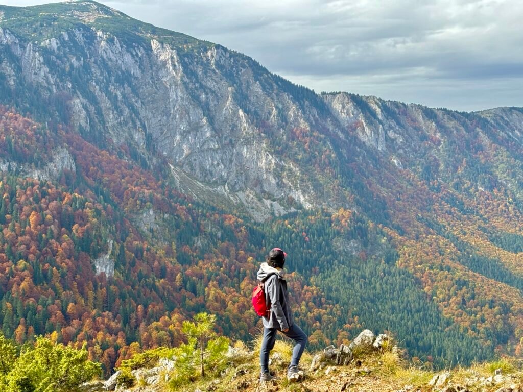 Hiking to Ćurevac Viewpoint: Stunning Views of Tara River Canyon