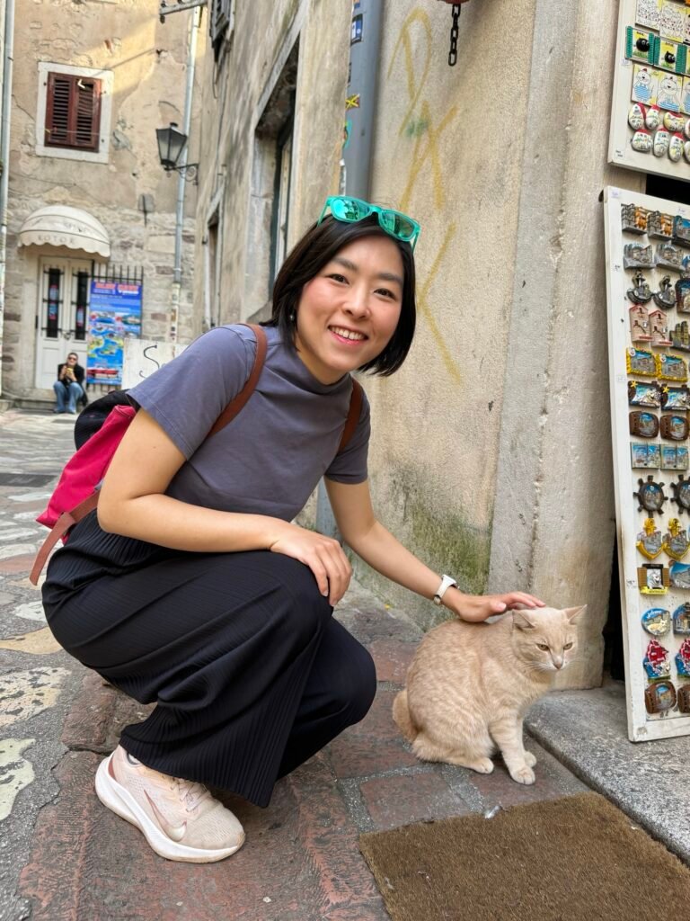 Patting the Adorable Cats of Kotor