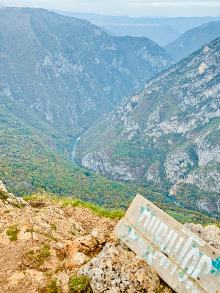 Panoramic View from Ćurevac Viewpoint Overlooking Tara Canyon