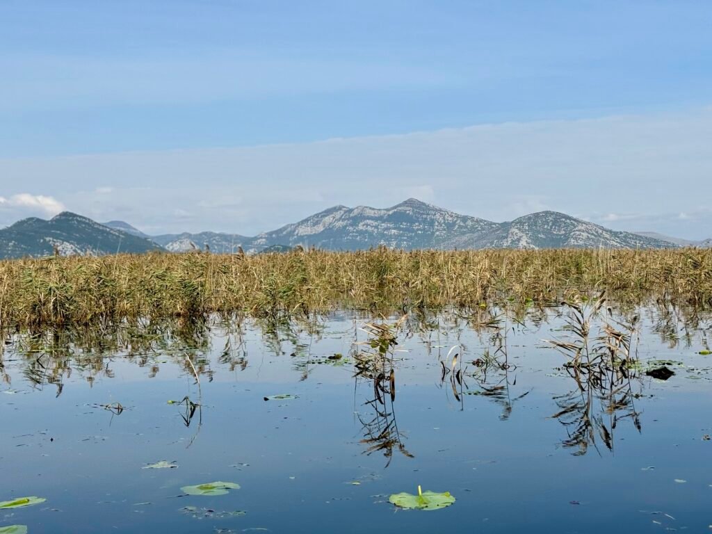 Lake Skadar: Montenegro’s Largest Lake