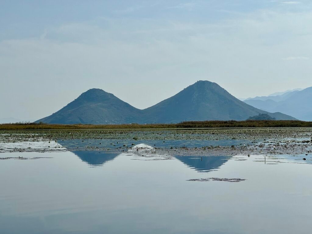 Peaceful Reflections on Lake Skadar
