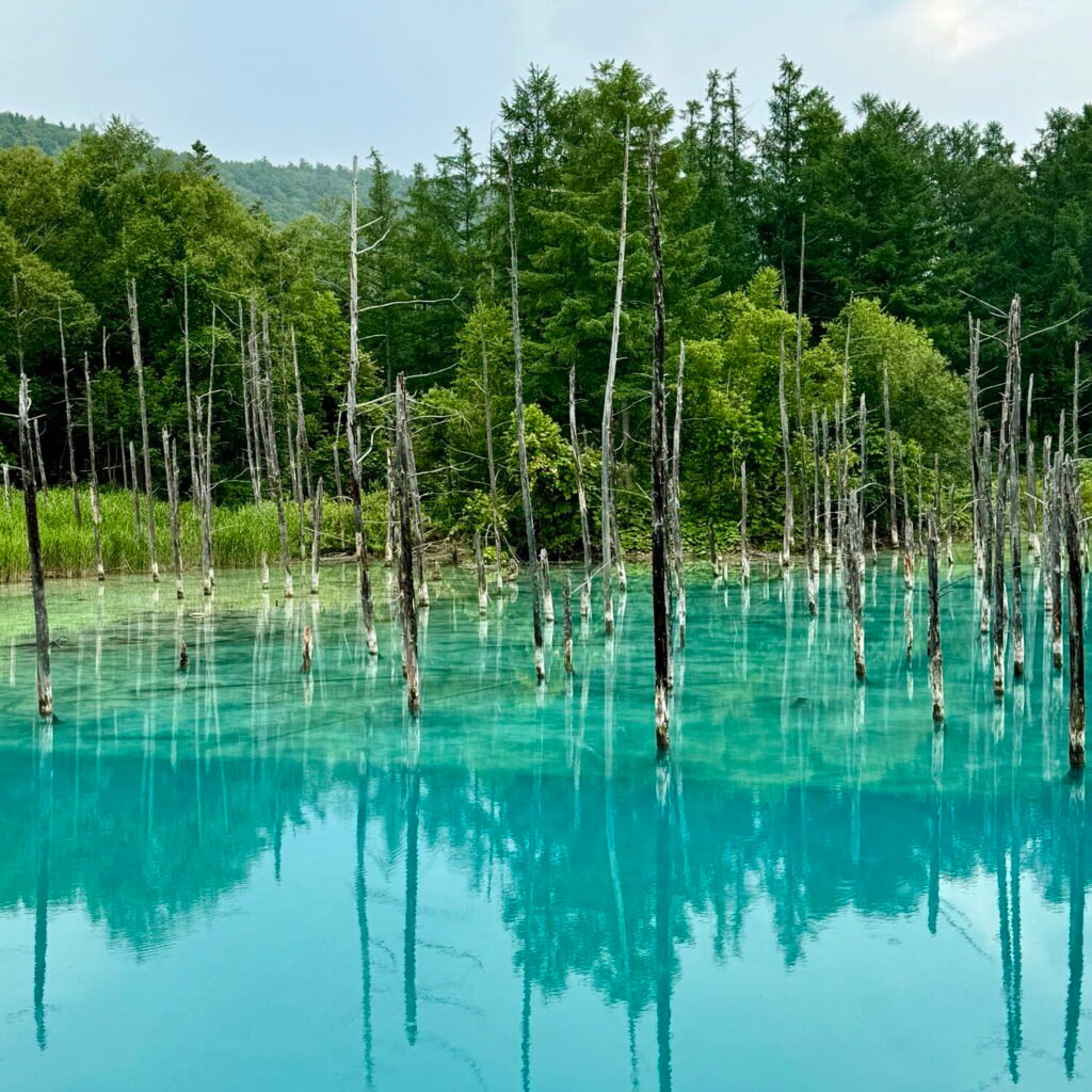 Shirogane Blue Pond, Hokkaido
