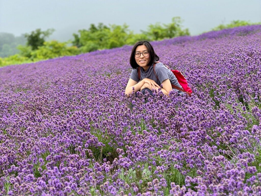 Enjoying Hokkaido's beautiful lavender fields in summer
