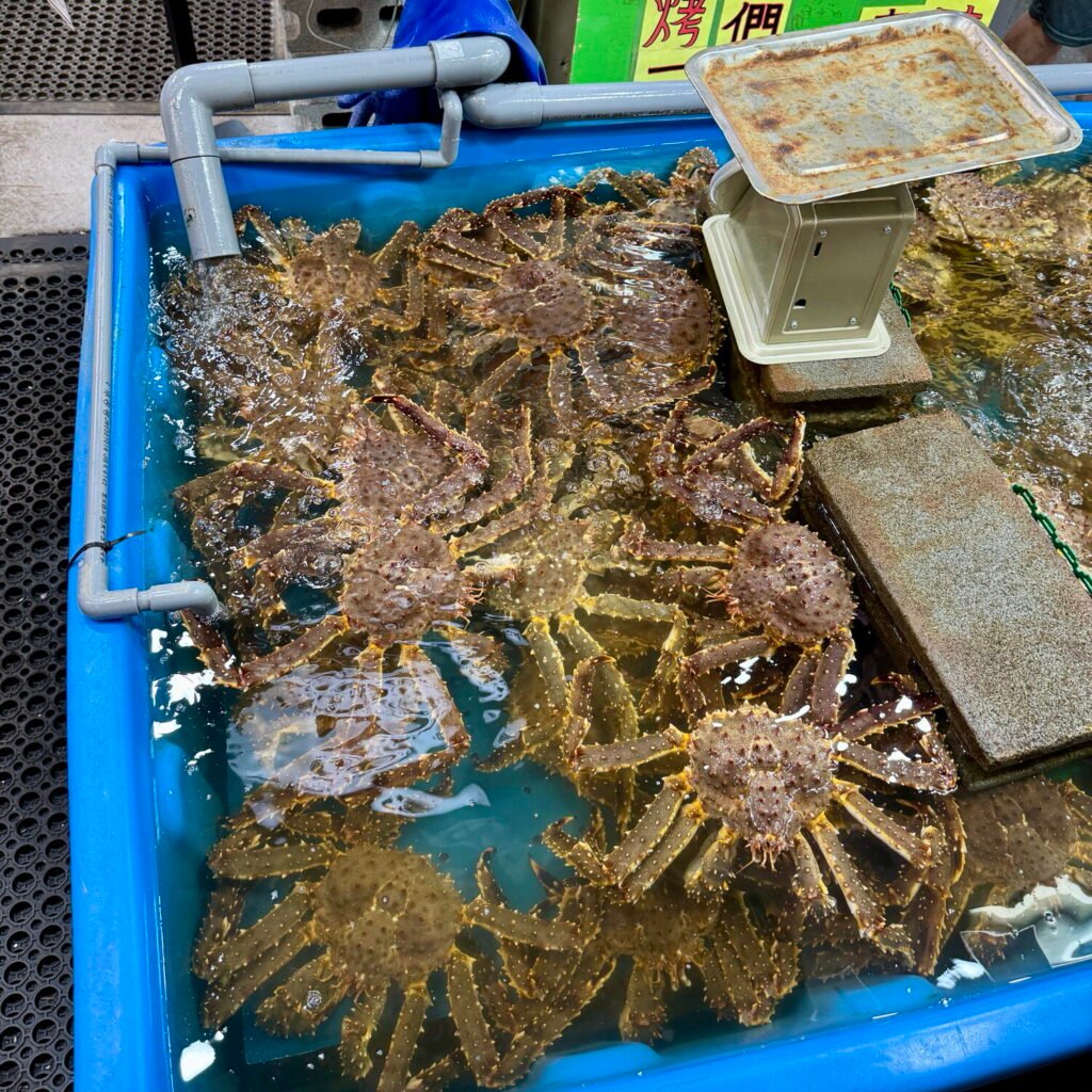Seafood stall at Otaru Triangle Market