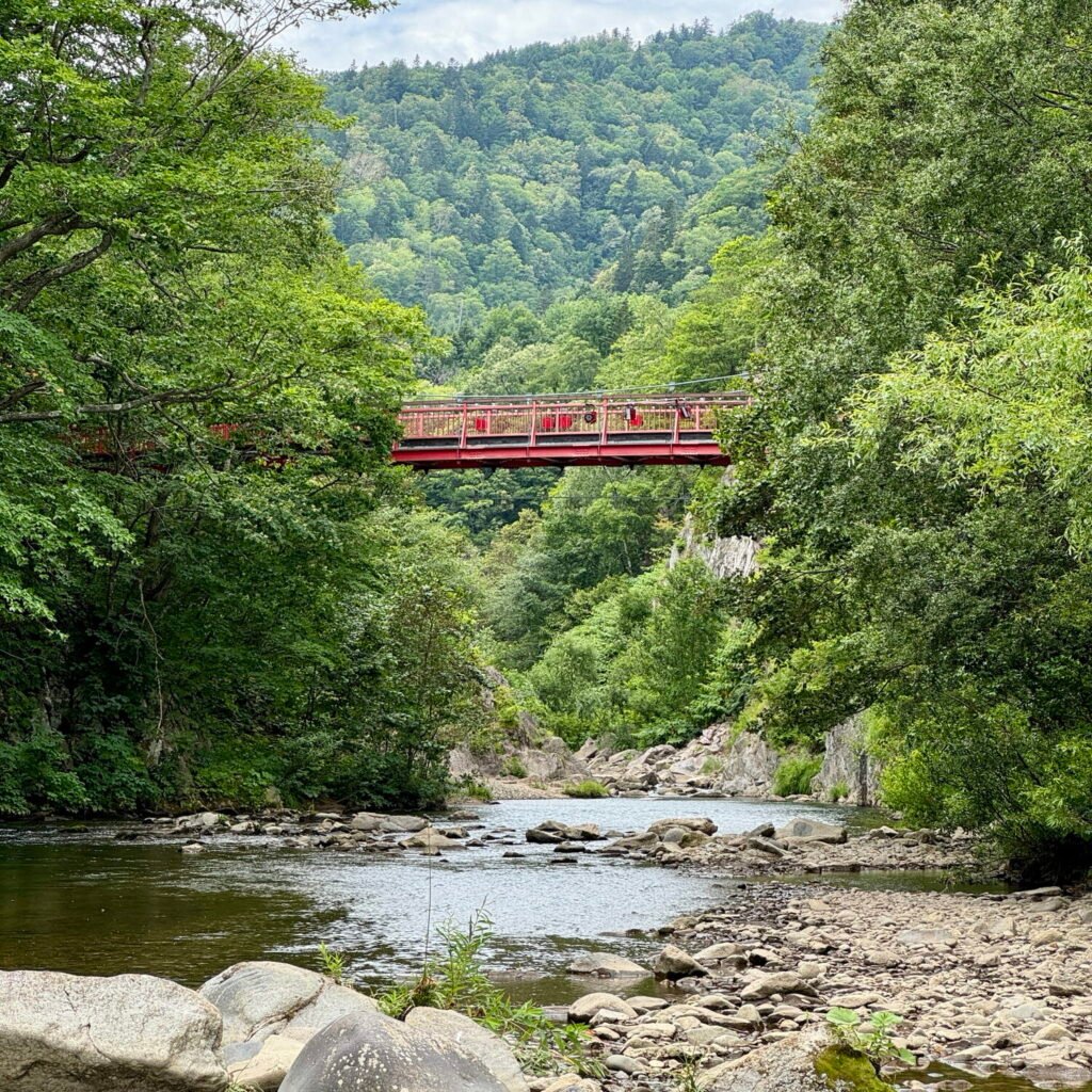 View of Futamitsuri Bridge from Jozankeifutami Park