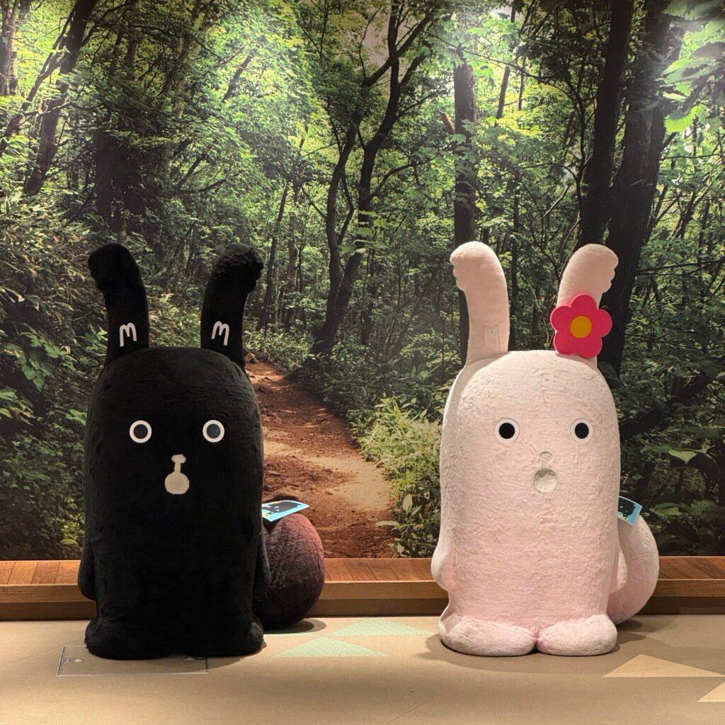 Morizo and Kiccoro, the official mascots of Mt. Moiwa Ropeway