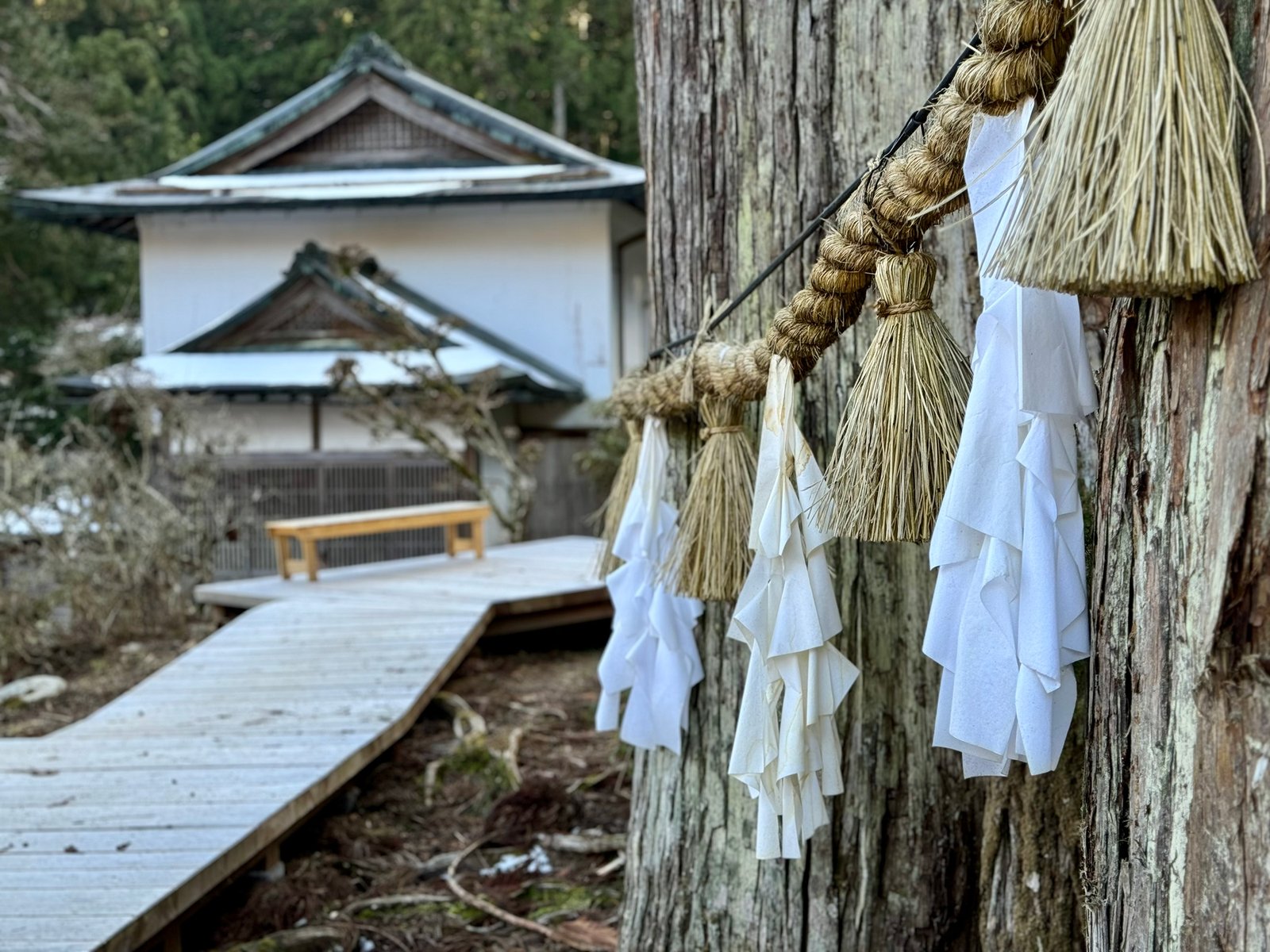 A Night on Japan’s Sacred Mountain: Our Koyasan Temple Stay